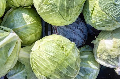 Healthy cabbage recipes including cabbage stir-fry, soup, roasted cabbage and dinner bowls
